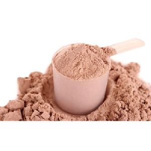 chocolate protein powder