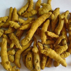 dried turmeric finger