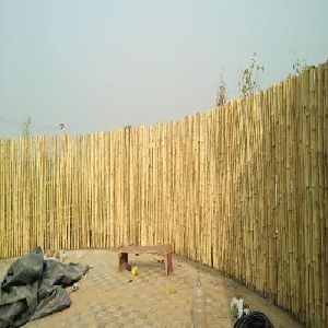 Bamboo Boundary Wall