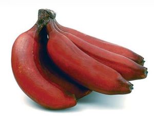 Fresh Red Banana