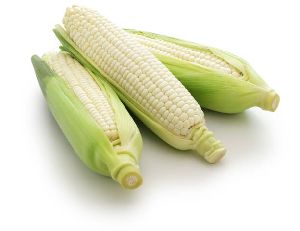 Fresh White Maize