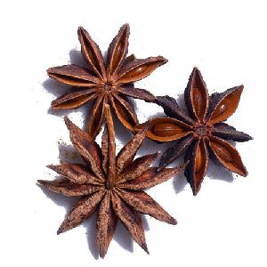 Whole star anise