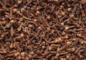 Dry Cloves