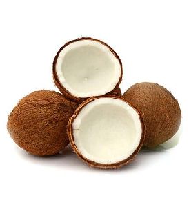 Coconut