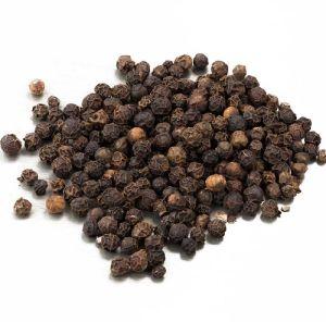 Black Pepper Seeds