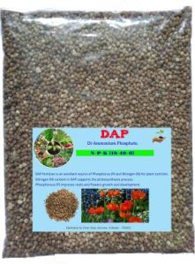 Dap Fertilizer