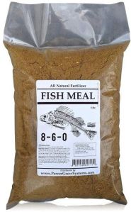 Fish Meal