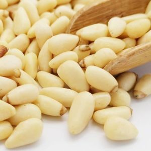 Pine Nut Kernel