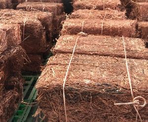 Copper Wire Scrap