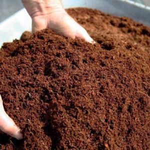 Coco Compost