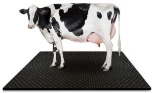 Cow Mats