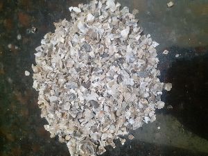 Oyster Shellgrit Shell grit