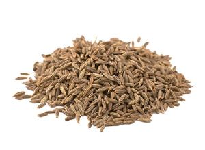 cumin seeds / jeera