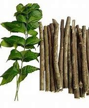 Neem stick