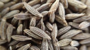 Organic Cumin seeds