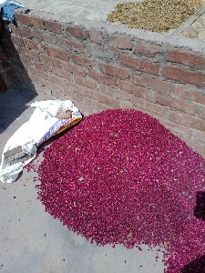 Dried Red Rose Petals
