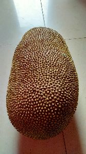 Jackfruit