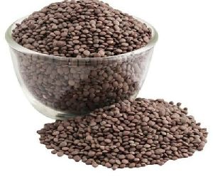 Organic Masoor Dal