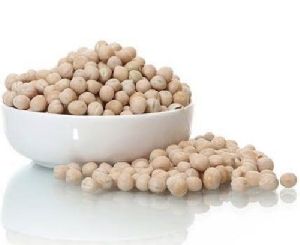 Organic White Pea Beans