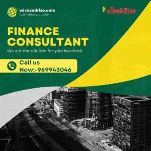 Finance Consultant