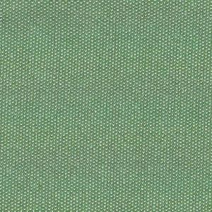 Interlock Fabric