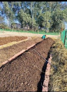 HIGH QUALITY VERMICOMPOST, READY TO USE