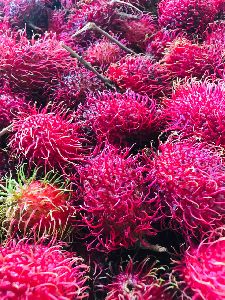 Hybrid Rambutan