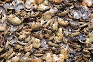 Raw Cashew shell supplier
