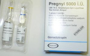 Pregnyl Injection