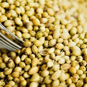 Coriander Seeds