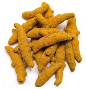 Turmeric Finger