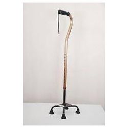 Walking Stick