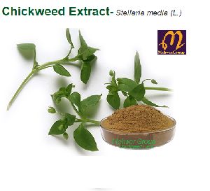 Chickweed Extract- Stellaria media (L.)