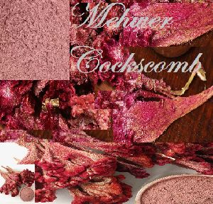Mehwer Cockscomb