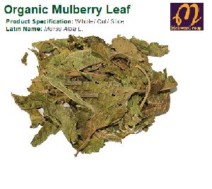 Organic Mulberry Leaf