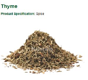 Thyme