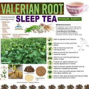 Valerian Root Tea