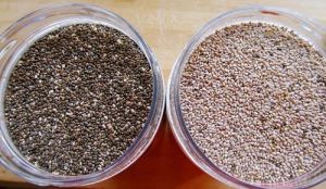 Chia Seeds