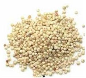 Quinoa Seeds