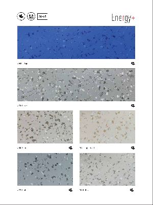 Jeoflor Energy + Vinyl Flooring