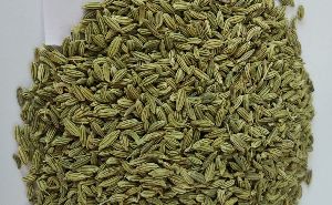Fennel A3 Seeds