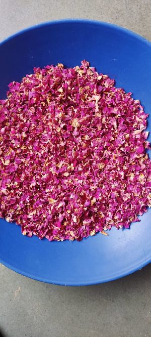 Red Rose Buds