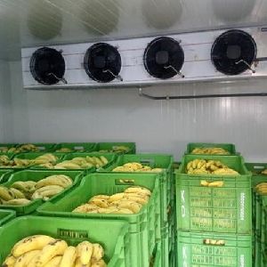 Banana Ripening Chamber