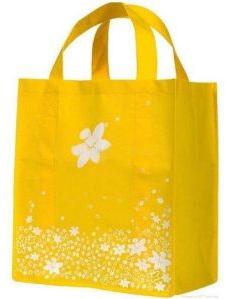 Stitched Non Woven Bags