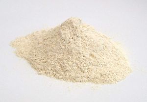 Dehydrated Pumpkin Powder