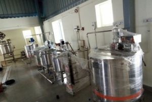 Amla Processing Machines