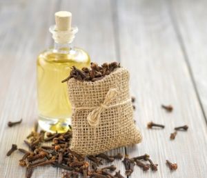 Clove Oil