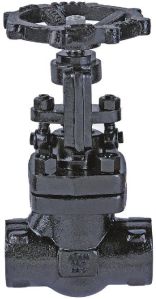 F.C.S. (A105) Globe Valve