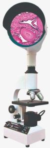 Heavy Type Student Projection Microscope