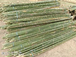 12 Feet Bijli Bamboo